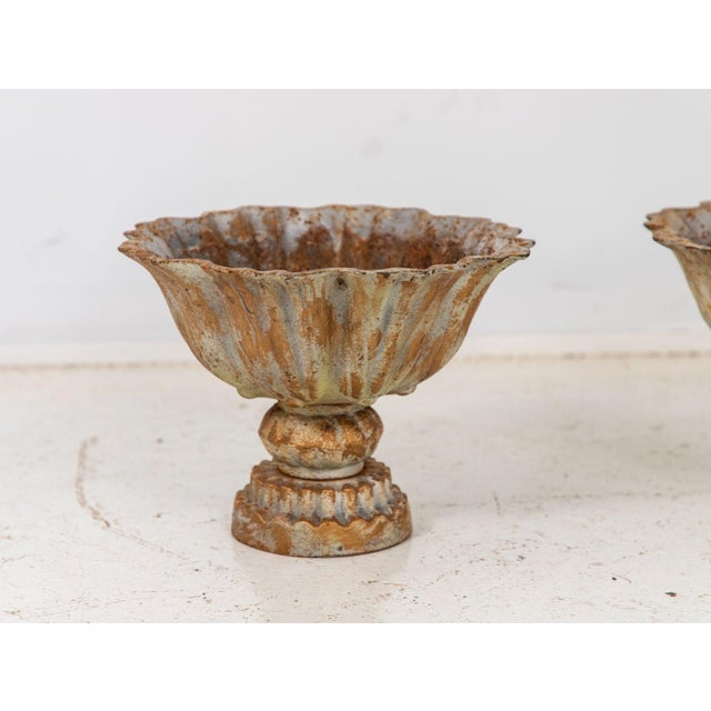 Pair of Verdigris Painted Iron Tazzas or Urns, English Late 20th Century For Sale - Image 4 of 7