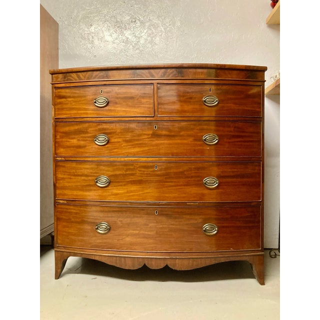 19th Century English Mahogany Chest of Drawers For Sale - Image 13 of 13