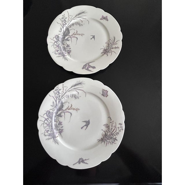 Porcelain Plates and Platter by Ch Pillivuyt & Cie, 1890s, Set of 8 For Sale - Image 4 of 17