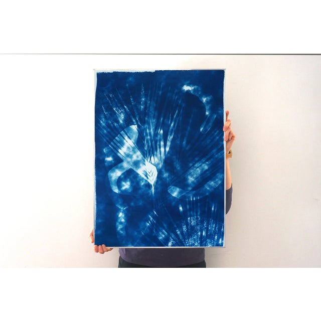 2020s Botanical Cyanotype With Abstract Cloudy Shades,Photogram Made on Watercolor Paper, Deep Range of Blues, 50xx70cm For Sale - Image 5 of 10