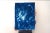 2020s Botanical Cyanotype With Abstract Cloudy Shades,Photogram Made on Watercolor Paper, Deep Range of Blues, 50xx70cm For Sale - Image 5 of 10