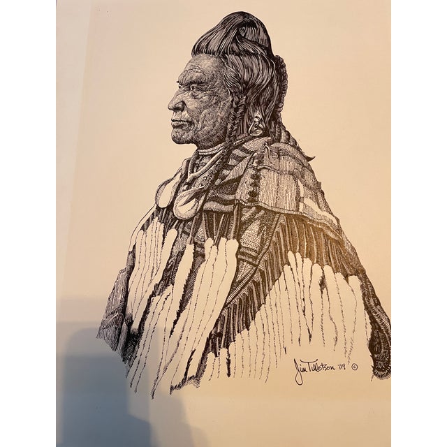 Original Vintage Native American Indian Portrait Pen and Ink Drawing by Jim Tillotson For Sale - Image 12 of 12