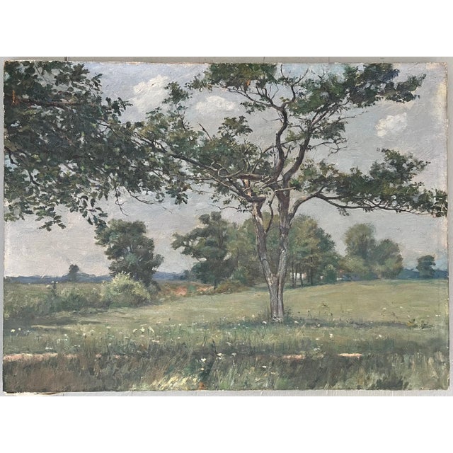 Wells Moses Sawyer (American 1863 - 1960) Oil Painting on Canvas of a Verdant New England Summer Landscape & Tree For Sale In New York - Image 6 of 11