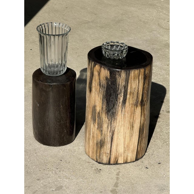 Petrified Wood Side Table with Black Heart For Sale - Image 15 of 18