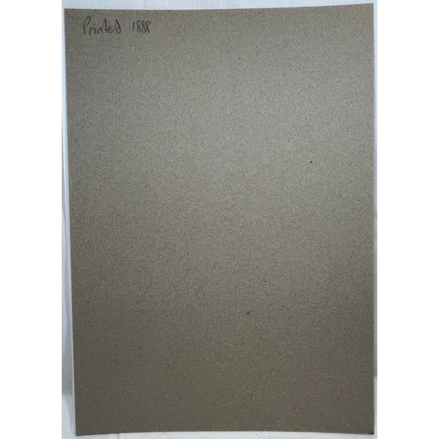 Antique Hand Tinted Bird Print From England Featuring a Brown & Gray Yellow-Billed Cuckoo - Circa 1888 For Sale - Image 10 of 10