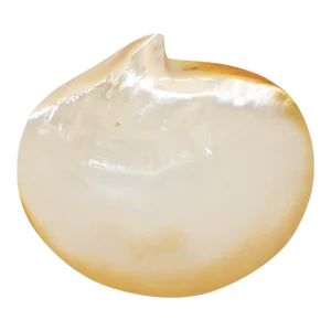 Contemporary Mother of Pearl Serving Plate