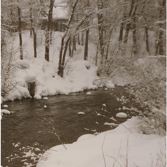 Evelyn H. Lauder Snow Marshmallows, 1991 - Signed For Sale - Image 4 of 5