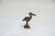 Vintage handmade African curious crowned bird with nut. Circa mid 20th century and possibly older, this piece has such...