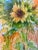 Framed Original Watercolor Painting “Sunflower” For Sale - Image 9 of 12