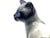 Ceramic Mid-Century Siamese Cat Figurine For Sale - Image 7 of 13
