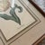 Illustration Vintage Yellow Tulip Botanical Print in Dark Wood Frame For Sale - Image 3 of 7