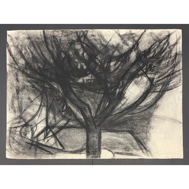 Richard Snyder Modern Tree Landscape Drawing For Sale - Image 4 of 4