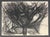 Richard Snyder Modern Tree Landscape Drawing For Sale - Image 4 of 4