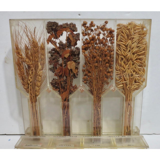 Russian Soviet Era Agricultural Display Dated 1952 For Sale - Image 4 of 8