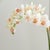 Pink Phalaenopsis 16" Mini Garden Drop-In For Sale - Image 8 of 8