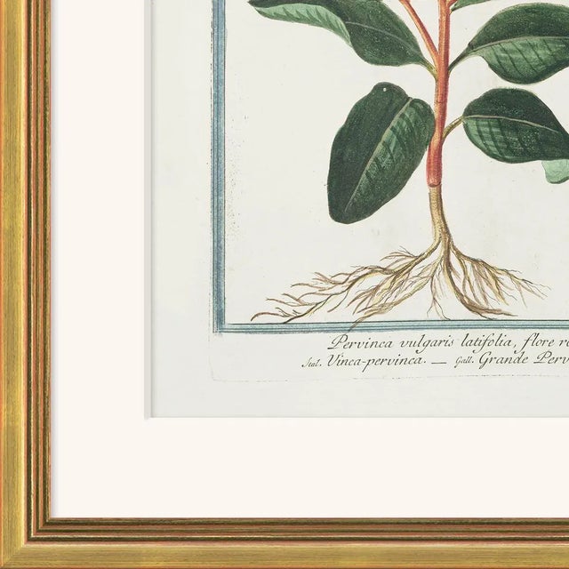 Archival Giclee Print. High quality materials and craftsmanship. Artisian handcrafted wood moulding imported from Europe....