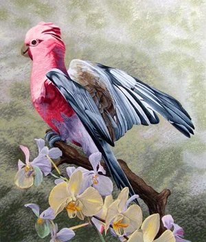 1980s "Galah Cockatoo" Tropical Bird Serigraph by Dallas John