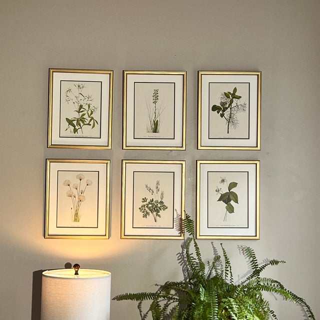Framed Vintage Botanical Prints, Set of 6 -Authentic 1978 Prints | Chairish