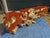 Contemporary Phillips Cast Naturals Root Burl Driftwood Console Table in Gold Leaf For Sale - Image 3 of 18