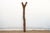 Brown Bandiaggara Pillar, Antique African Ladder For Sale - Image 8 of 11