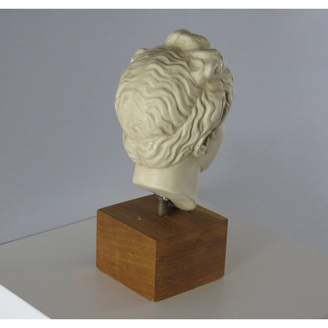 Mediterranean Greek 1960s Plaster Bust of Hygenia For Sale - Image 3 of 3
