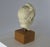 Mediterranean Greek 1960s Plaster Bust of Hygenia For Sale - Image 3 of 3