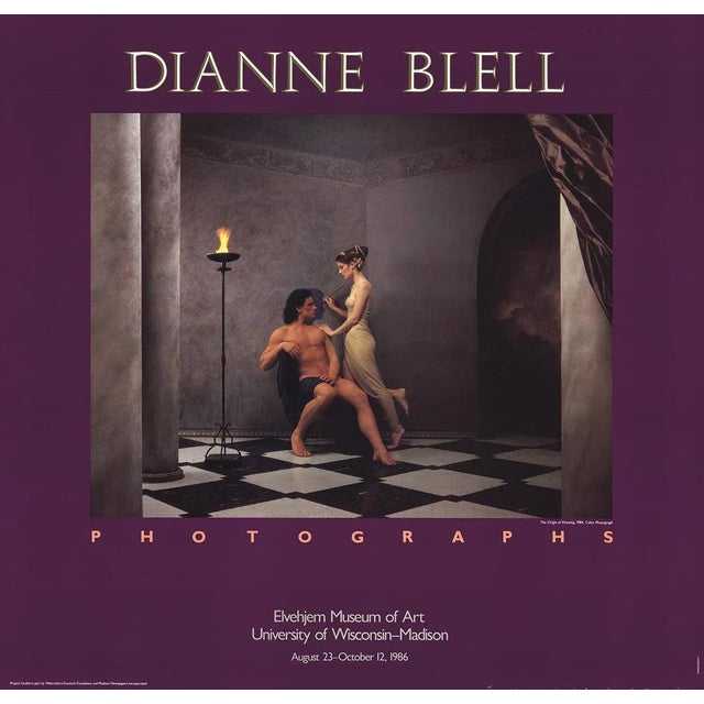 1984 Dianne Blell 'Photographs' Purple, Brown Offset Lithograph For Sale