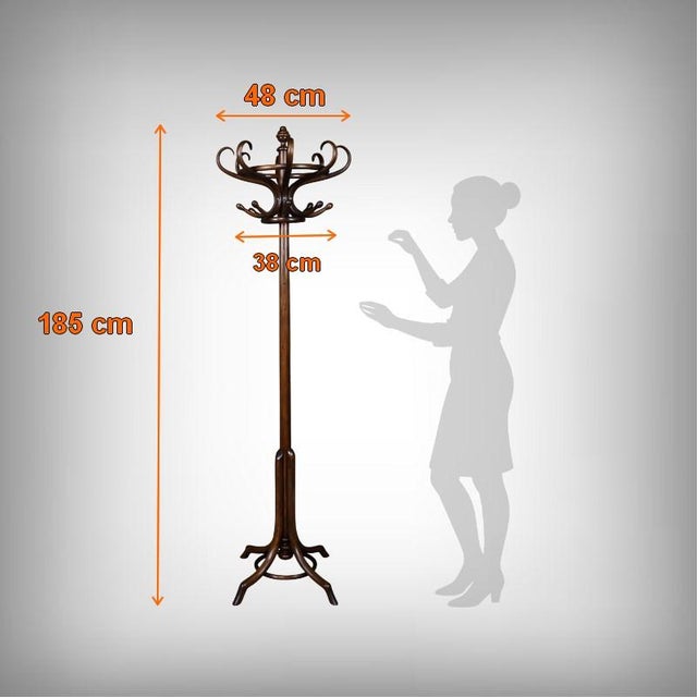 Early 20th Century Parrot Coat Rack in Beechwood, 1890s For Sale - Image 18 of 18