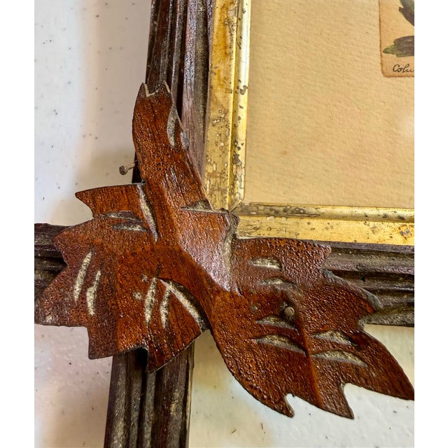 Printmaking Materials Mid 19th Century Lyman Byxbe “Columbine” and “Wild Rose” Prints in Criss Cross Corner Frames - Set of 2 For Sale - Image 7 of 12