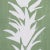 Abstract Schumacher x BACKDROP White Lotus Wallpaper in Soft Green For Sale - Image 3 of 5