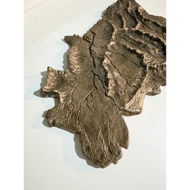 Bronze Hand Forged Bronze Map of Brazil With Elevated Topography, 1980s For Sale - Image 8 of 11