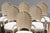1980s Vintage Italian Hollywood Regency Grotto Shell-Back Dining Chairs - Set of 8 For Sale - Image 11 of 18