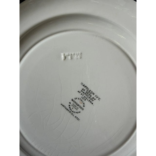 White 1940s Wedgewood Napoleon Ivy Plates - Set of 9 For Sale - Image 8 of 8