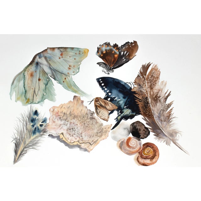 "Nature Collection No. 1" Original Watercolor Realism Painting by Elizabeth Becker For Sale