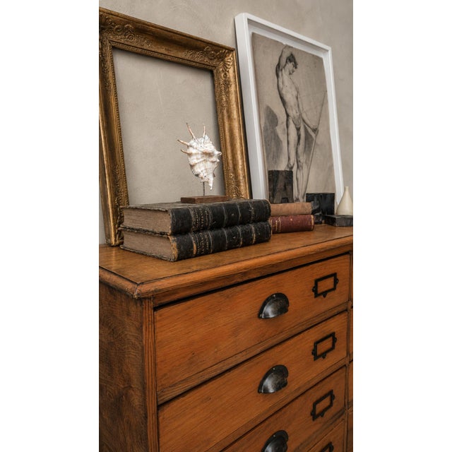 Antique English Pine Shop Chest of Drawers, UK, 1890s For Sale - Image 6 of 16