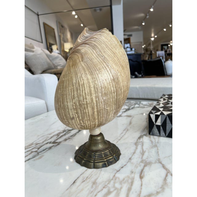 Mid-Century Modern French Mid-Century Shell Lamp For Sale - Image 3 of 5