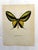 Up for sale is this gorgeous lithograph by F. Prochazka, published in Great Britain in 1965. It is in excellent, gently-...