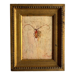 Scott Zuckerman (American B. 1951) Oil Painting on Board Insect Specimen Study of a Beetle For Sale