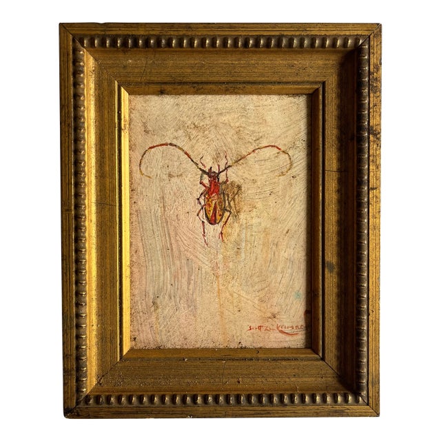 Scott Zuckerman (American B. 1951) Oil Painting on Board Insect Specimen Study of a Beetle For Sale