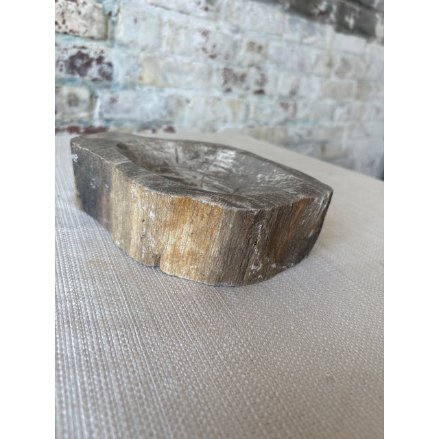 Coffee Hand-Carved Petrified Teak Bowl / Organic Rustic Decorative Vessel For Sale - Image 8 of 10