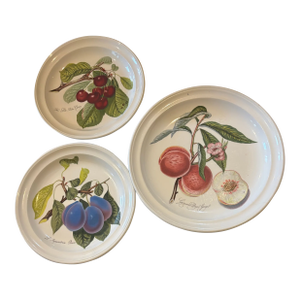 1990s Pomona Portmerion Dinner Plate and Pomona Portmerion Dessert Plates- Set of 3