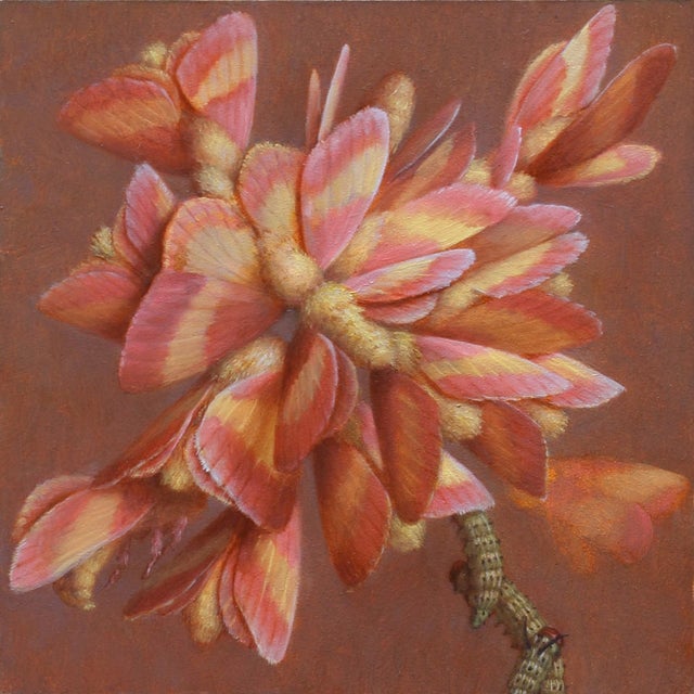 Bloom I by Zane York | Oil on panel Flowering plant with pink and orange petals For Sale