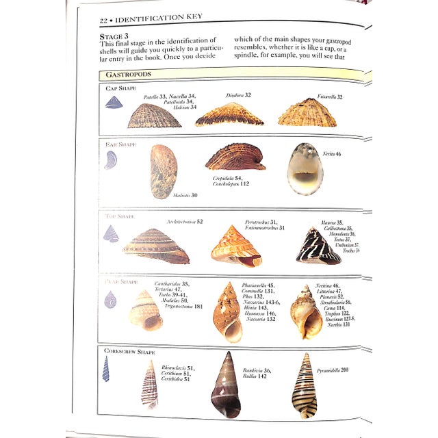 "Shells: The Visual Guide to More Than 500 Species of Seashells From Around the World" 1992 Dance, S. Peter For Sale - Image 10 of 11