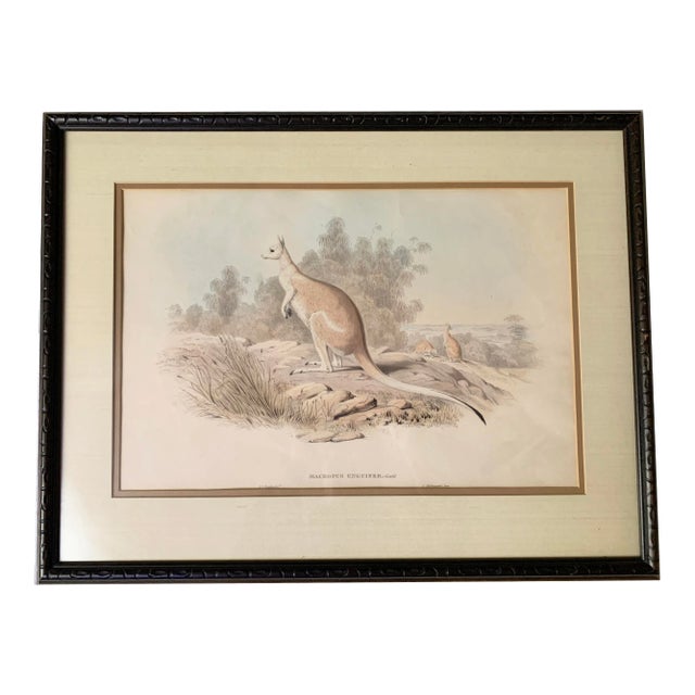 Victorian h.c. Richter Hand Colored Lithograph Artwork For Sale