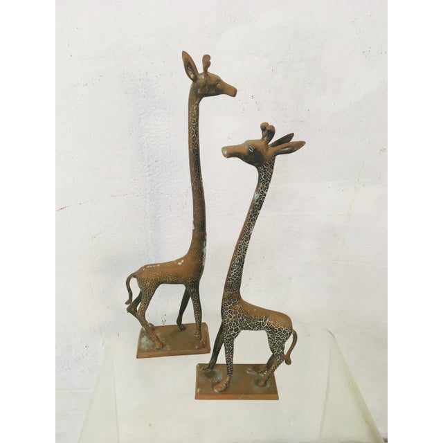 These lovely brass giraffes are great vintage decor! We left the patina!