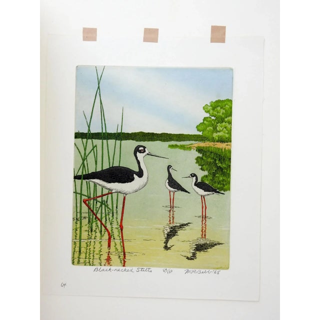 Vintage 1965 Maurie Bebb Shore Bird Aquatint Etching For Sale - Image 4 of 5