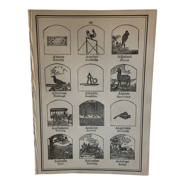 1905 Original German Illustrated Engraving Page For Sale