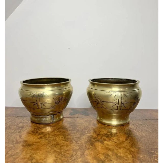 1900 - 1909 Edwardian Brass Jardinieres, 1900, Set of 2 For Sale - Image 5 of 8