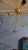 1960s Mid-Century Gold-Plated Brass Sputnik Chandelier, 1960s For Sale - Image 5 of 5