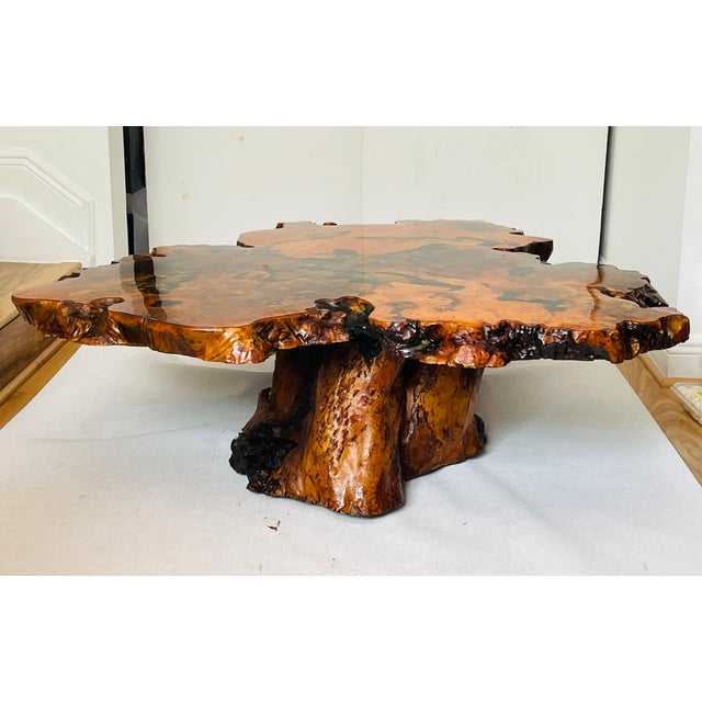 Gorgeous 1960 Tedeood Slab Stump Root Live Edge Coffee Table For Sale - Image 14 of 17